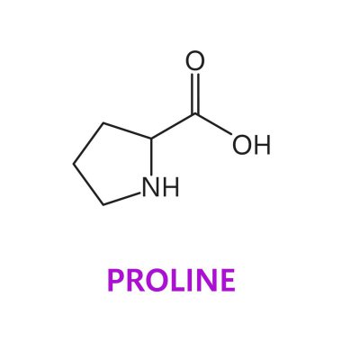 Prolinin Amino asit kimyasal molekülü, moleküler formül ve zincir yapısı, vektör ikonu. Proline proteojenik amino asit moleküler yapı ve ilaç ve eczane için zincir formülü