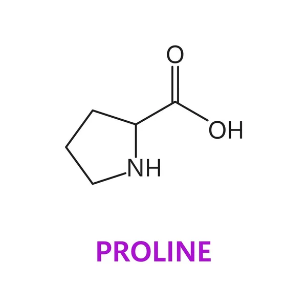 stock vector Amino acid chemical molecule of Proline, molecular formula and chain structure, vector icon. Proline proteinogenic amino acid molecular structure and chain formula for medicine and pharmacy