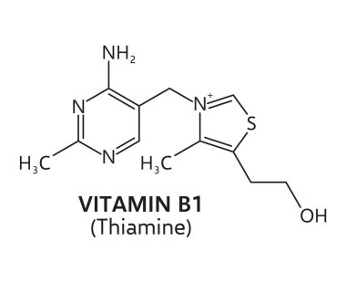 B1 vitamini formülü, moleküler bileşiklerin tiamin kimyasal yapısı. Sağlık, kimya, tıp ve eğitim için vektör vitamin B1 iskelet formülü. Tiamin mikro besin maddesi ve top modeli