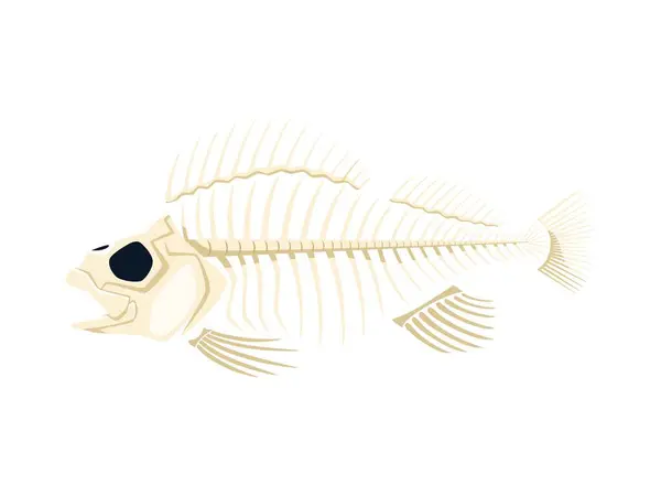 Esqueleto Pescado Dibujos Animados Despojado Carne Vector Aislado Huesos Delicados — Vector de stock