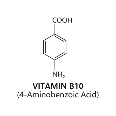 B-10 vitamini, 4 aminobenzoik asit moleküler formülü. Vektör C7h7no2, genel hücresel işlevde rol oynayan bu hayati besin hakkında yapısal elementleri ve temel bilgileri sergiler