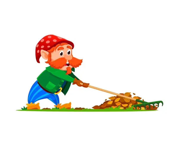 Cartoon Gnome Dwarf Gardener Character Pointy Hat Diligently Rakes Colorful — Stock Vector