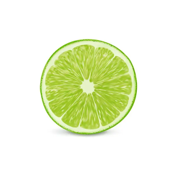 Realistic Green Ripe Raw Lime Fruit Isolated Slice Citrus Fruit — Stock Vector