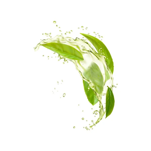 Green Tea Leaves Water Splash Herbal Drink Drops Explosion Realistic — Stock Vector