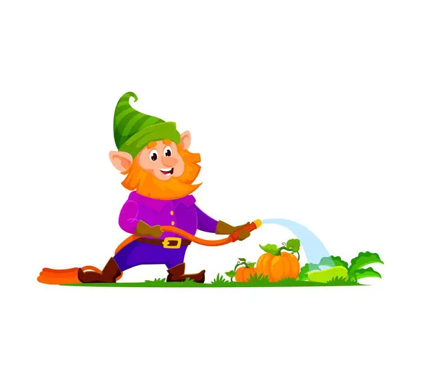 漫画のノームまたはドワーフガーデナーのキャラクター 孤立したベクター 面白い人格は活気に満ちた野菜に傾向があり 魔法のタッチで庭を喜ばしく眺め 魅惑的な栽培のシーンを作成します — ストックベクタ