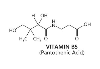 B 5 vitamini veya pantotenik asit kimyasal formülü bir beta-alanin grubuna bağlı pantoik asit hareketliliğinden oluşur. Enerji metabolizmasında önemli rol oynayan elementin vektör şeması