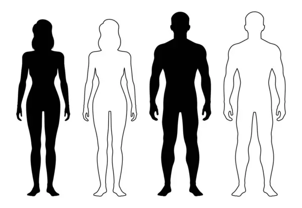 Mann Und Frau Umreißen Figur Menschliche Körpersilhouette Geduldige Frontansicht Kontur — Stockvektor