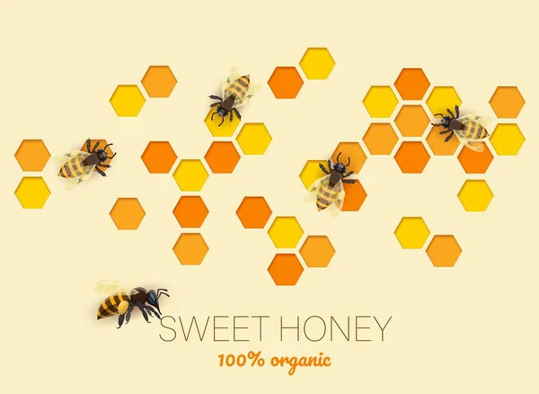 剪纸蜂窝 蜂蜜和蜜蜂3D矢量横幅与六角形梳子持有黄金甜蜜蜜由勤奋的蜜蜂 用于养蜂和蚜虫有机生产的活体纸片 — 图库矢量图片