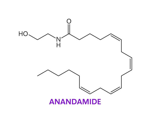 Neurotransmitter Anandamide Ana Chemical Formula Molecule Vector Molecular Structure Anandamide — Stock Vector
