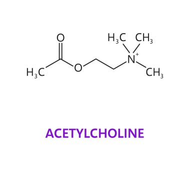 Nörotransmitter, asetilkolin ACh kimyasal formül ve molekül vektör moleküler yapısı. Asetilkolin, asetik asit ve kolin ester, sinir sisteminde nöron reseptörlerinin nörotransmiteri.