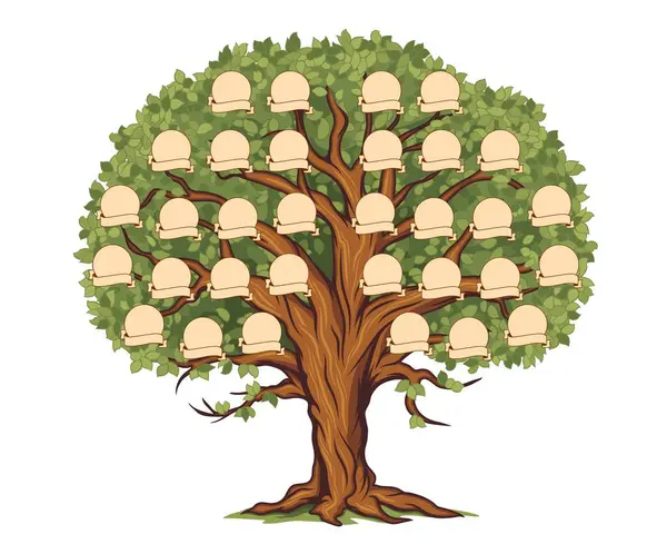 Genealogy Family Tree Ancestry History Branch Frames Photo Vector Template — Stock Vector