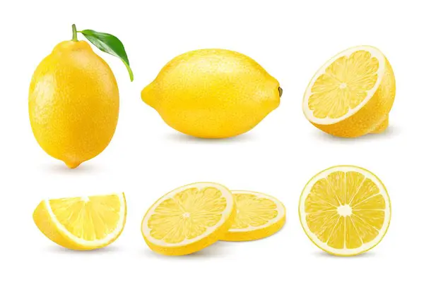 Realistic Ripe Yellow Lemon Whole Citrus Fruit Slices Half Cut — Stock Vector