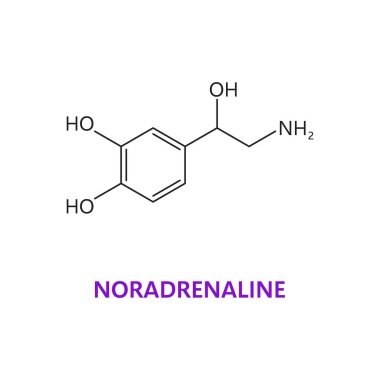 Nörotransmitter, Noradrenalin kimyasal formül ve moleküler yapı, vektör molekülü. Norepinefrin ya da noradrenalin hormonu ve sinir sistemi nöromodülatörü.