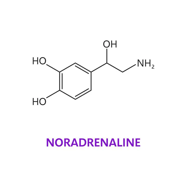 Neurotransmitter Noradrenaline Chemical Formula Molecular Structure Vector Molecule Norepinephrine Noradrenalin — Stock Vector