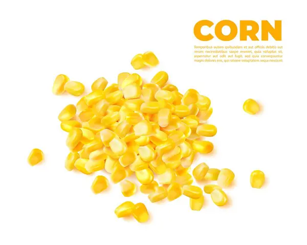 Realistic Sweet Boiled Corn Kernels Pile Stack Isolated Sweetcorn Vector — Stock Vector