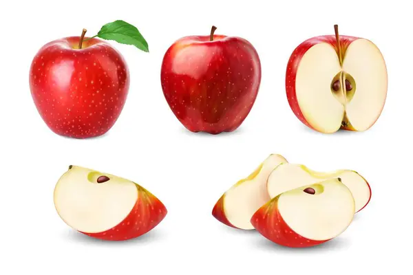 现实的红苹果全果 切片半与绿叶 病媒食物 分离的3D成熟的新鲜苹果切割成多汁的楔形 带有褐色种子和红色果皮 是农场果园树的夏季果实 — 图库矢量图片