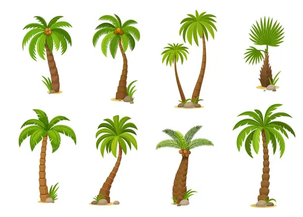 Tegneserie Jungle Kokospalmer Levende Vektor Sæt Byder Isolerede Jungle Planter – Stock-vektor