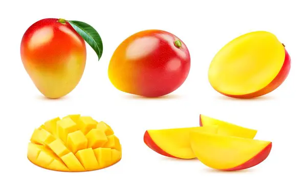 Çiğ Tropikal Gerçekçi Mango Meyvesi Tam Yarım Dilimlenmiş Yeşil Yapraklı — Stok Vektör