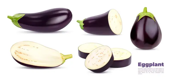 生现实的茄子蔬菜 整片半 切碎和环状熟透的孤立蔬菜食物 具绿色茎 光滑紫色果皮 白色果肉 种子的热带茄子或茄子 — 图库矢量图片