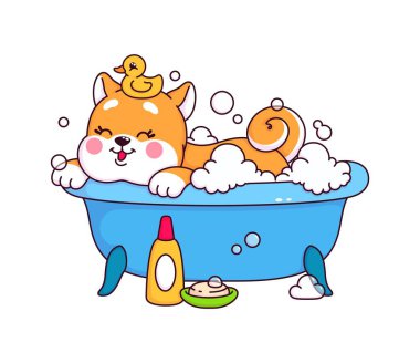 Japon kawaii shiba inu köpek yavrusu banyoda banyo yapıyor. İzole edilmiş vektör sevimli köpek kabarık köpüklü ve kafasında sarı plastik ördek oyuncağıyla küvette rahatlıyor. Sevimli evcil hayvan yıkama ve hijyen uygulaması