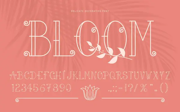 Elegante Monogram Lettertype Lijntype Retro Lettertype Romantisch Engels Alfabet Vector — Stockvector