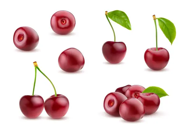 Realistic Ripe Cherry Isolated Raw Red Cherry Berry Vector Set — Stock Vector
