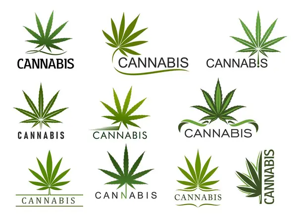 Íconos Hoja Marihuana Cannabis Canabis Medicinales Vectoriales Cáñamo Hierba Hojas — Archivo Imágenes Vectoriales