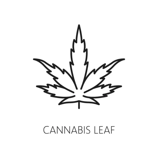 Cannabis Leaf Line Icon Cbd Marijuana Weed Extract Vector Symbol — Archivo Imágenes Vectoriales