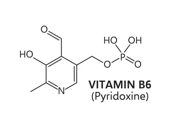 维生素B6配方 吡咯烷胺或吡咯烷酮的细线化学结构 病媒食品补充剂 化学科学和医学 维生素B6基本营养结构配方 — 图库矢量图片