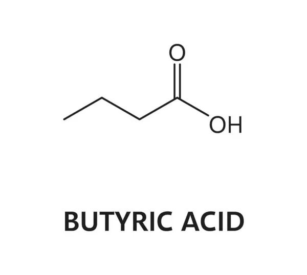 Butyric Acid Molecule Formula Chocolate Chemical Molecular Structure Vector Icon Royalty Free Stock Vectors