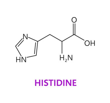 Amino acid chemical molecule of Histidine, molecular formula and chain structure, vector icon. Histidine essential amino acid molecular structure and chain formula for medicine and health pharmacy clipart