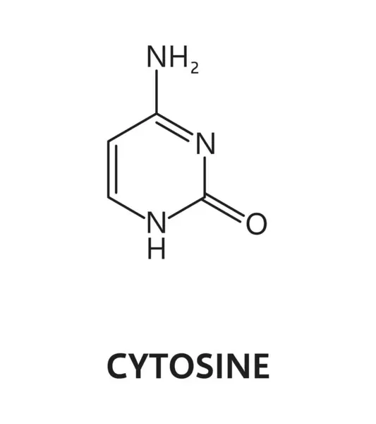 Acide Nucléique Cytosine Base Azotée Azote Formule Hydrogène Adn Molécule Illustration De Stock