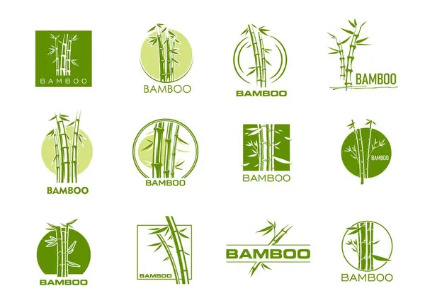 Ícones Bambu Massagem Spa Símbolos Beleza Saúde Com Árvores Verdes Gráficos De Vetores