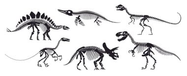 Dinosaur skeleton fossil, isolated dino bones. Vector reptile animal silhouettes. Avaceratops, basilosaurus, stegosaurus, eoraptor, gallimimus, tyrannosaur ancient reptilian prehistoric remnants clipart