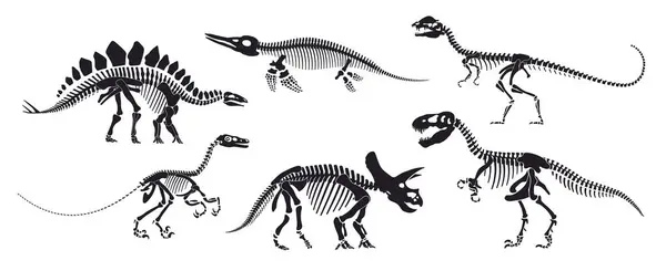 Dinosaur Skeleton Fossil Isolated Dino Bones Vector Reptile Animal Silhouettes — Stock Vector