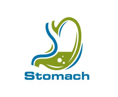 Mide ikonu, izole edilmiş vektör gastroenteroloji kliniği ve sağlıklı insan sindirim sisteminin sağlık amblemi. Asit kabarcıkları, iç bağırsak ya da kolon tedavisi ve refah içeren yeşil karın etiketi