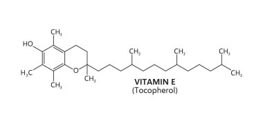 E vitamini formülü, tocopherol moleküler bileşiklerinin kimyasal yapısı. Vektör kimyası, ilaç ve farmakoloji bilimi eğitimi, E vitamini yağ çözünebilir antioksidan yapısal formül