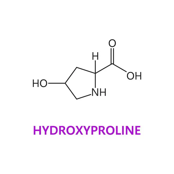 stock vector Hydroxyproline amino acid chemical molecules, essential chain structure with a hydroxyl group. Vector cyclic molecular chain contributes to collagen stability and strength in connective tissues