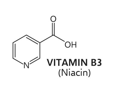 B-3 ya da niasin moleküler formülü c6h5no2. Yapısı piridin halkası ve vücuttaki çeşitli metabolik süreçler için gerekli olan bir karboksamid grubundan oluşur. Vektör eğitim kimyasal şeması