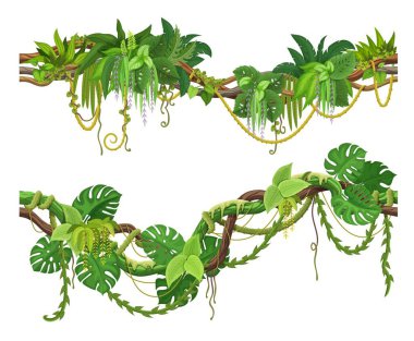 Tropical jungle forest liana vine branch. Vector rainforest thicket, Amazon or african flora, hanging creeper plants. Isolated tropic nature foliage. Cartoon spinney, elements of gui game landscape clipart