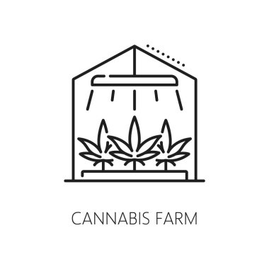 Kenevir çiftliği ikonu. CBD ve marihuana, ot özü sembolü. Tıbbi CBD tarım ana hatları ikonu, ilaç ot ürünü veya seradaki kenevir bitkileriyle birlikte doğal marijuana uyuşturucu hattı vektör işareti