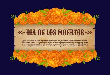 Meksika bayramı kutlamaları için el yazması parşömen ve kadife çiçekli ölü afiş günü, atalarımızın hatıraları ve gelenekleri onurlandırılıyor. Canlı cempasuchil ya da tagetes çiçekli vektör şablonu