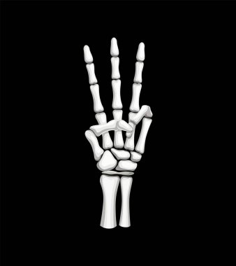 İskelet el üç parmaklı bir jest oluşturur. Ayrı bir vektör, Cadılar Bayramı iskelet kolu çarpıcı ve esrarengiz bir sembol yaratıyor, kemikli parmakları genişliyor, gizemli veya gizemli bir mesajı somutlaştırıyor.