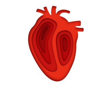 Kağıt, tıbbi kardiyoloji ya da sağlık hizmetleri hayır kurumu için kırmızı insan kalbi kesiyor. Kardiyak tıp için karton kesim kalp posteri, dünya kalp sağlığı günü veya sosyal yardım kampanyası rozeti