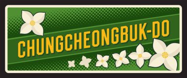 Chungcheongbuk-do Güney Kore teneke plakası. Beyaz manolya ve kasımpatı çiçekli SK bölge levhası. Kuzey Chungcheong Eyaleti, Chungbuk metal plaketi, yeşil tabela.