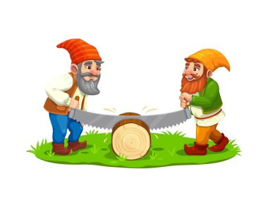 Çizgi film cüce karakterleri testere ile bir kütük kesiyorlar. Peri masalı oduncusu ya da oduncu bahçe cücesi vektör kişilikleri. Şirin fantezi cüceleri sihirli şapkalar içinde ağaç gövdelerini kesiyorlar, odun kesiyorlar.