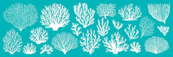 stock vector Sea reef corals and ocean seaweeds silhouettes or imprints, vector white icons. Cartoon undersea and ocean underwater fauna plants background with corals and actinia aquatic flowers for marine pattern