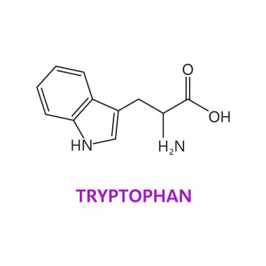 Tryptophan amino asit kimyasal molekülü, temel zincir yapısı. Besin takviyesi molekül bileşiği, kas proteini kimyasal zinciri veya temel amino asit bilim vektörü formülü