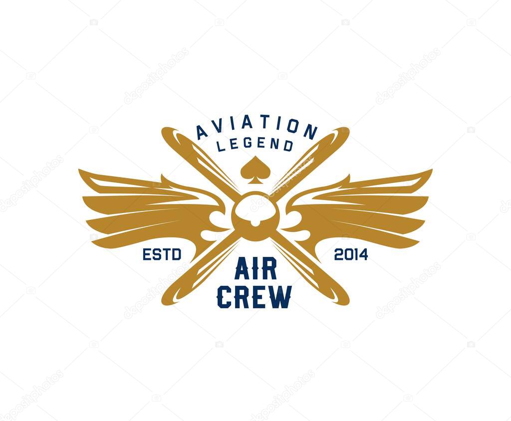 Airplane or aircraft icon for aviation academy or aviator school, vector emblem. Retro propeller airplane with eagle bird wings for avia show or aviation transport and air plane pilot crew badge