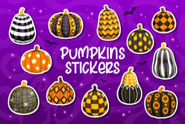 Bayram süsüsüyle boyanmış balkabağı çıkartmaları, çizgi film vektörü. Korku gecesi tatili için Cadılar Bayramı balkabağı çıkartmaları ve örümcek ağı ve örümcek desenli süslemelerle şeker ya da şaka partisi